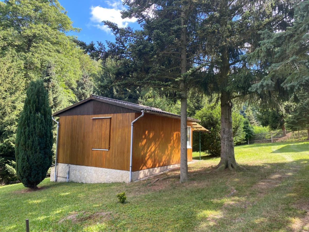 Waldfrieden Bungalow Garnsdorf 외부 사진