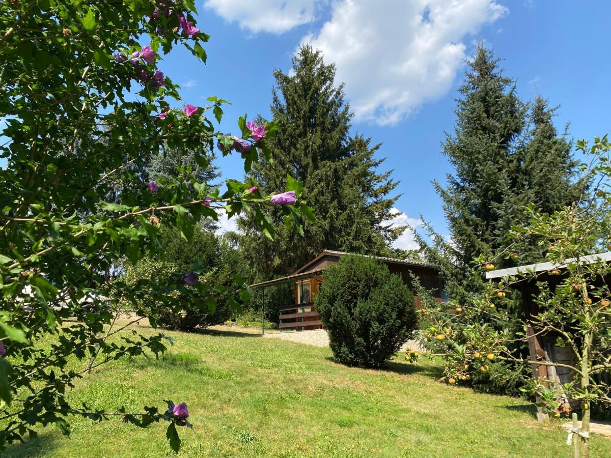 Waldfrieden Bungalow Garnsdorf 외부 사진